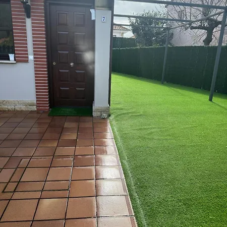 Mimosa En La Orilla