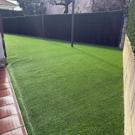 Mimosa En La Orilla * Argoños